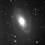 M81 w 10-calowym teleskopie